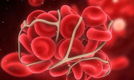 Anticoagulants Market Size, Share, Trends, Growth 2032