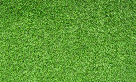 The Benefits of Buffalo Turf for Your Santa Ana Garden