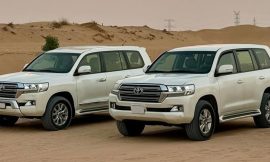 Experience the Adventure: Morning Desert Safari in Dubai