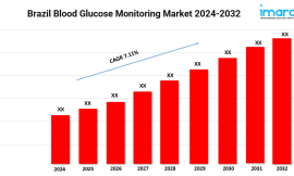 Brazil Blood Glucose Monitoring Market Size, Share & Analysis Report 2024-2032