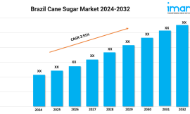 Brazil Cane Sugar Market Growth, Trends, Share, Size and Forecast 2024-2032