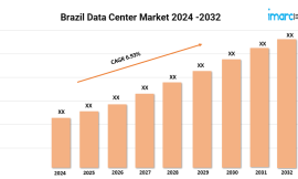 Brazil Data Center Market Growth, Trends, Share, Size and Forecast 2024-2032