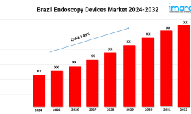 Brazil Endoscopy Devices Market Share, Size, Trends and Industry Analysis by 2024-2032