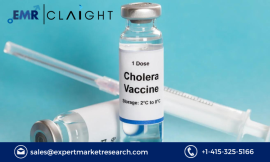 Cholera Vaccines Market Size, Share, Report and Forecast 2024-2032