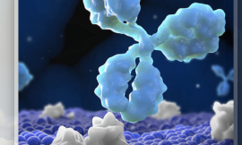 Novel Therapies Based on Small-Molecule Antibodies Hold Promise