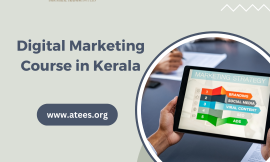 Digital Marketing Course in Kerala