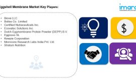 Eggshell Membrane Market Size, Segments | Forecast – 2032