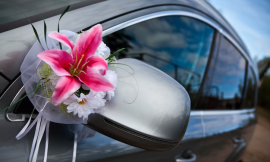 The Ultimate Guide to Miami Wedding Transportation