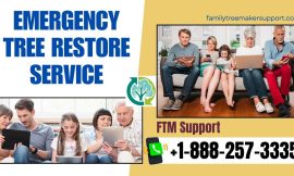 The Emergency Tree Restore Service: A Lifesaver for Family Tree Maker Users