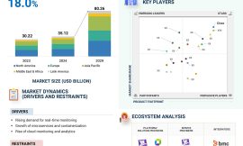 Enterprise Monitoring Market to Reach $80.26 Billion by 2029