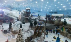 Ski Dubai Winter Adventure: Top Reasons to Visit