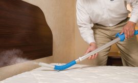 Comprehensive Guide to Pest Control and Bed Bug Treatment