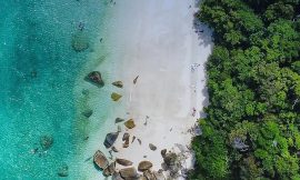 Fitzroy Island: The Ultimate Escape for Every Type of Traveller