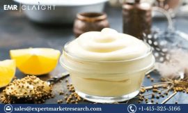 Food Emulsifiers Market Forecast 2024-2032: Trends, Growth Drivers, and Key Players