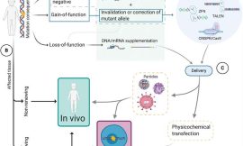 Rare Disease Research Challenges and Innovations