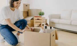 What Are the Best Packers and Movers in Hyderabad for Your Move?