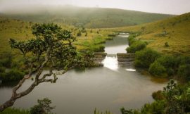 Camping in Sri Lanka’s National Parks: A Night with Nature