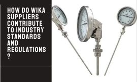 How Do Wika Suppliers Contribute to Industry Standards and Regulations?