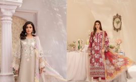 Stylish Party Wear Ladies Pakistani Suits for UAE Festivities: A Must-Have Collection