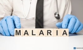 Combating Malaria The Role of Effective Anti-Malarial Injections in Africa