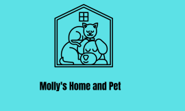 Molly’s Home and Pet: Ensuring Your Home and Pets Get the Care They Deserve.