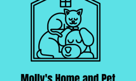 Molly’s Home and Pet: Trusted Provider of Comprehensive House Cleaning and Pet Sitting Services.