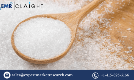 Monosodium Glutamate (MSG) Price Forecast