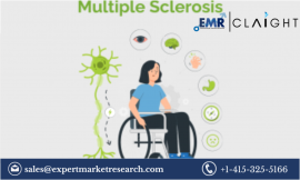 Multiple Sclerosis Treatment Market: Innovations, Key Players, and Future Outlook (2024-2032)