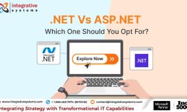 Take Your Development to the Next Level: How Dedicated ASP .NET Programmers Can Make a Difference