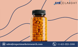 The Nootropics Market: Growth, Trends, and Future Opportunities 2032