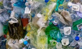 The Importance of Recycling and How Bottle Depots Play a Crucial Role