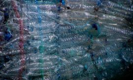 Bottle Depot: The Heart of Recycling and Environmental Sustainability