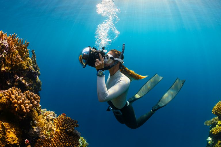 Read more about the article Dive Beyond Limits: Unveiling Extraordinary Underwater Adventures with Petro Divers