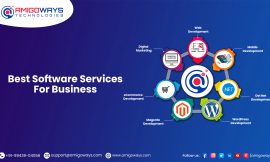 Popular Software Development Company – Amigoways