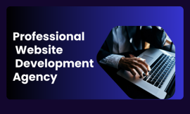 Professional Website Development Agency