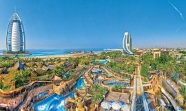 Top 7 Thrilling Rides You Must Try at Wild Wadi Park