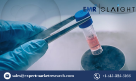 The Expanding Stem Cell Market: In-Depth Analysis of Trends, Key Players, and Future Outlook