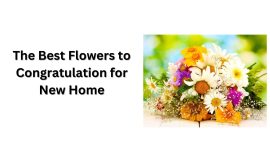 The Best Flowers to Congratulation for New Home