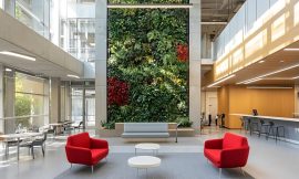 Top 5 Reasons to Install an Artificial Green Wall in Commercial Space