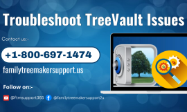 How To Resolve Troubleshooting TreeVault Issues