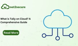 What is Tally on Cloud? A Comprehensive Guide