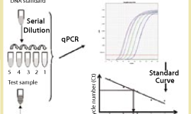 Yeast DNA Residue Assay Kits (qPCR) for Biological Research