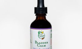 Natural Support for Bladder Health: Discovering the Power of Herbal Tinctures