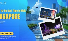 What Is the Best Time to Visit Singapore?