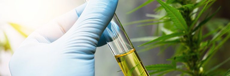 Read more about the article Understanding the Art and Science of Cannabis Extraction