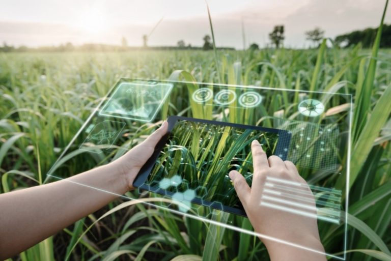 Read more about the article United States AI in Agriculture Market: Empowering the Next-Gen Farming Industry