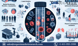 Allogeneic T Cell Therapies Market: Size, Share 2024-2032