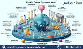 Bladder Cancer Treatment Market: Trends, Growth, and Future Outlook (2024-2032)