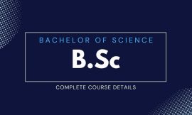 From BSc Full Form to Career Success: What You Need to Know