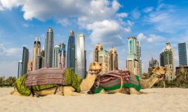 Your First Trip to Dubai: What You Need to Know